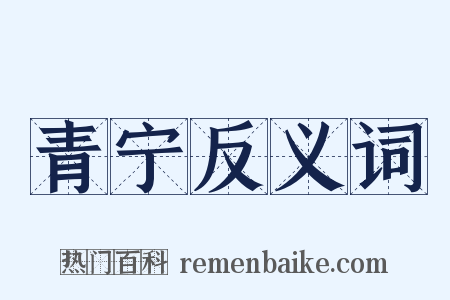 青宁反义词是什么意思的图片